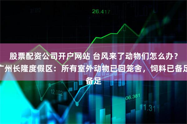 股票配资公司开户网站 台风来了动物们怎么办？广州长隆度假区：所有室外动物已回笼舍，饲料已备足